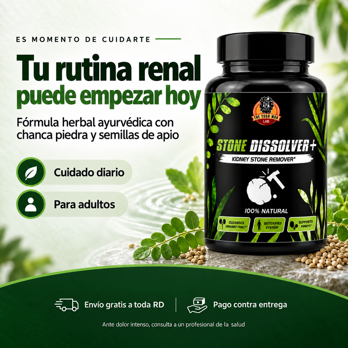 Stone Dissolver+ | Apoyo Natural para tus Riñones