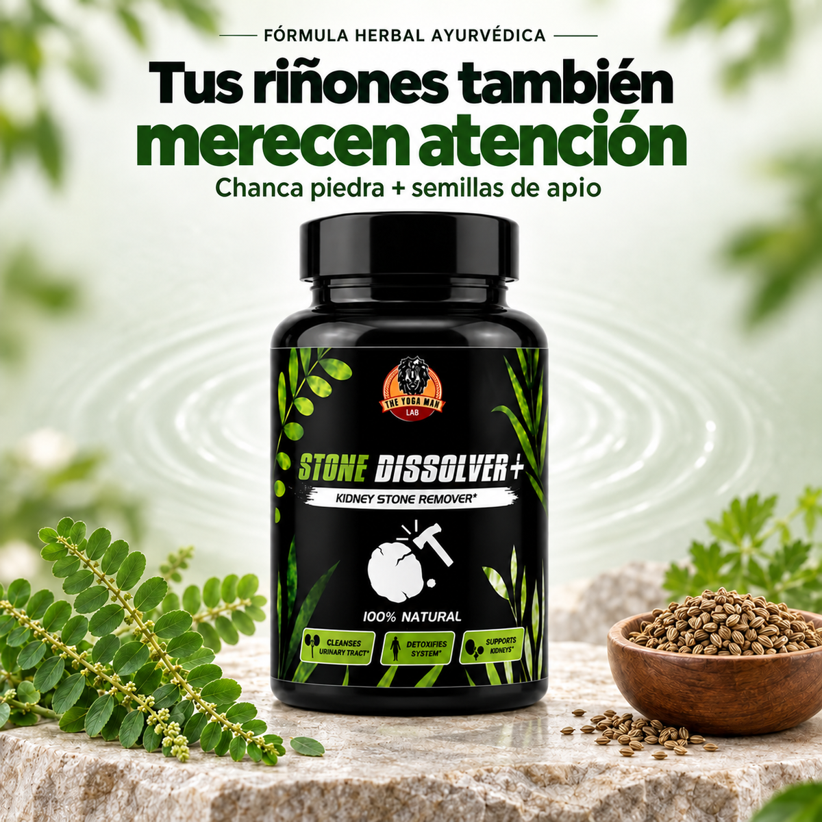 Stone Dissolver+ | Apoyo Natural para tus Riñones