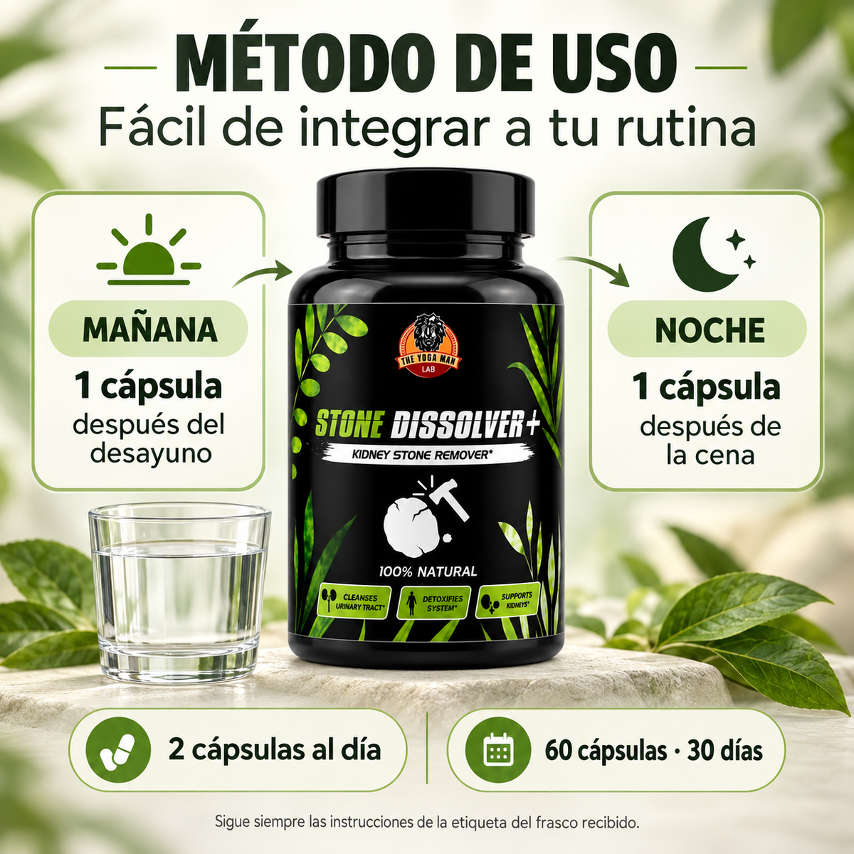 Stone Dissolver+ | Apoyo Natural para tus Riñones